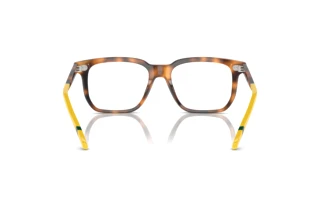 [glasses-back-view] Polo PH2269 (6089)