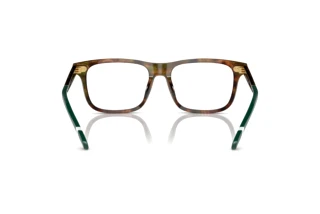 [glasses-back-view] Polo PH2270U (5017)