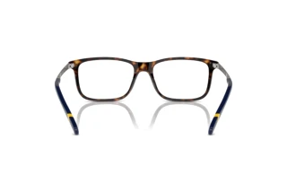 [glasses-back-view] Polo PH2273 (5003)