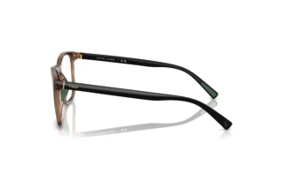 [glasses-side-view] Polo PH2281U (5974)