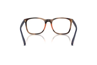 [glasses-back-view] Polo PH2281U (6070)