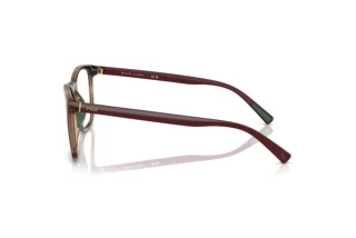 [glasses-side-view] Polo PH2281U (6208)