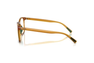 [glasses-side-view] Polo PH2281U (6209)