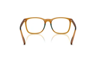 [glasses-back-view] Polo PH2281U (6209)