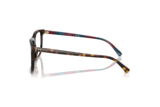 [glasses-side-view] Polo PH2282 (6213)