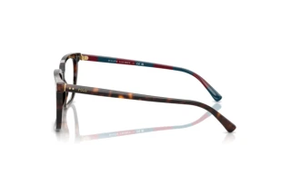 Vista lateral Polo PH2284 (6213)