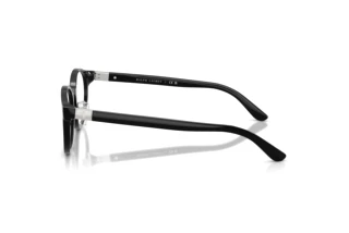 [glasses-side-view] Polo PH2289D (5001)