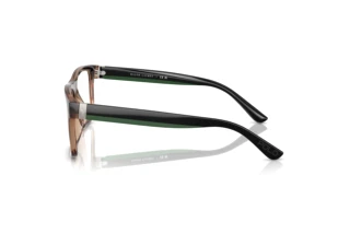 [glasses-side-view] Polo PH2290U (5974)