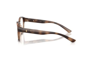 [glasses-side-view] Polo PH2293U (6070)