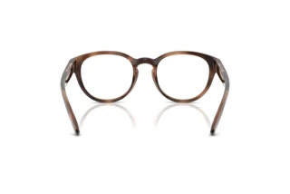 [glasses-back-view] Polo PH2293U (6070)