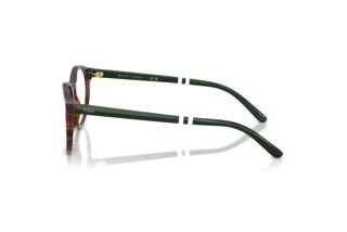 [glasses-side-view] Polo PH2297 (6315)