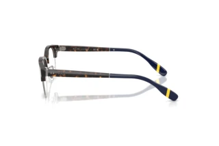 [glasses-side-view] Polo PH2298D (5003)