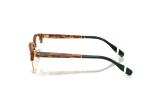 [glasses-side-view] Polo PH2298D (6321)