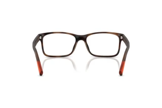 [glasses-back-view] Polo PH2301U (6070)