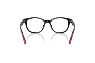[glasses-back-view] Polo PH2303U (5001)