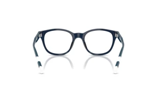 [glasses-back-view] Polo PH2303U (6314)