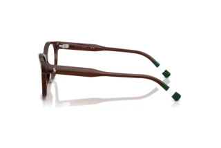 [glasses-side-view] Polo PH2303U (6315)