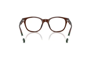 [glasses-back-view] Polo PH2303U (6315)