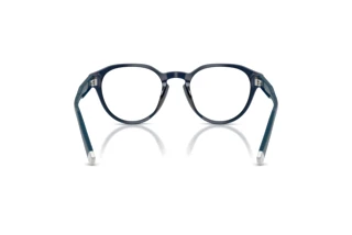 [glasses-back-view] Polo PH2304U (5955)