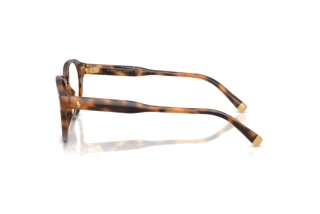 [glasses-side-view] Polo PH2304U (6089)