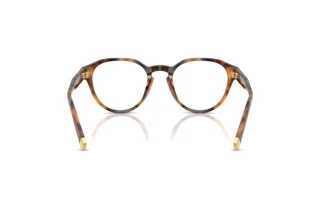 [glasses-back-view] Polo PH2304U (6089)
