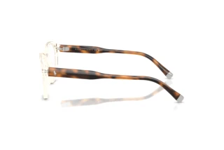 [glasses-side-view] Polo PH2304U (6357)