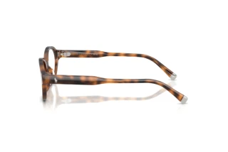 [glasses-side-view] Polo PH2305U (6089)