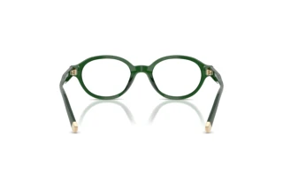 [glasses-back-view] Polo PH2305U (6361)