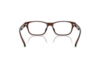[glasses-back-view] Polo PH2306D (6282)