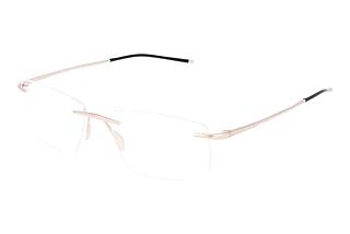 Porsche Design P8362S2 B