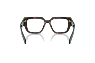 [glasses-back-view] Prada PR A03V (18Z1O1)
