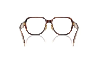 [glasses-back-view] Prada PR B07VD (07R1O1)