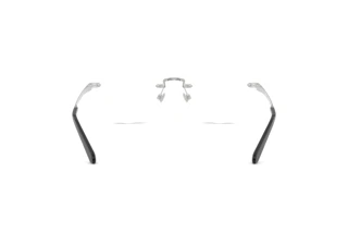 Vedere din spate Ralph Lauren RL5134 (9001)