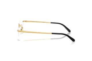 Vedere laterală Ralph Lauren RL5134 (9004)