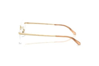 Vedere laterală Ralph Lauren RL5134 (9116)