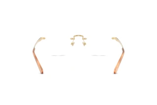 Vedere din spate Ralph Lauren RL5134 (9116)