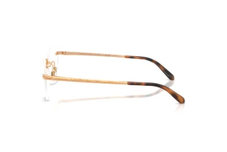 Vedere laterală Ralph Lauren RL5134 (9153)