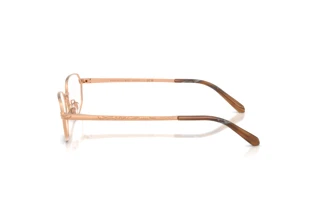 [glasses-side-view] Ralph Lauren RL5140 (9329)