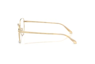 [glasses-side-view] Ralph Lauren RL5141 (9116)
