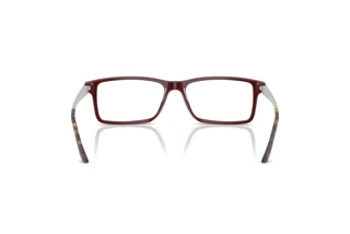 Vedere din spate Ralph Lauren RL6128 (6311)