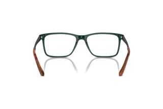 Vista posterior Ralph Lauren RL6133 (6140)