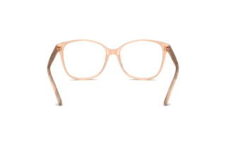 [glasses-back-view] Ralph Lauren RL6222 (6110)