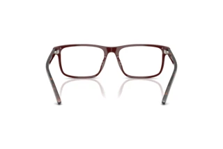 Vedere din spate Ralph Lauren RL6225U (6311)