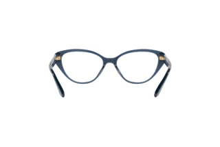[glasses-back-view] Ralph Lauren RL6228U (5377)