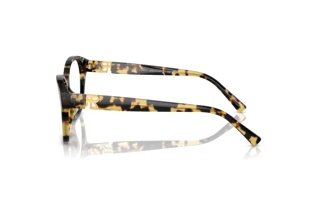 [glasses-side-view] Ralph Lauren RL6236U (5004)