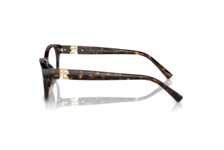 [glasses-side-view] Ralph Lauren RL6237U (5003)