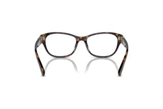 [glasses-back-view] Ralph Lauren RL6237U (5003)