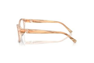 Vista lateral Ralph Lauren RL6237U (6110)