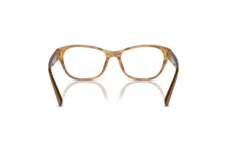 Vista posterior Ralph Lauren RL6237U (6113)