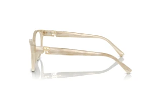 [glasses-side-view] Ralph Lauren RL6238U (6107)